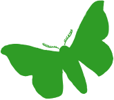 Illustration Gestaltungselement - zweiter grüner Schmetterling - Webseite von Familie de la Fontaine - Schönes aus Wolle-Seide kaufen